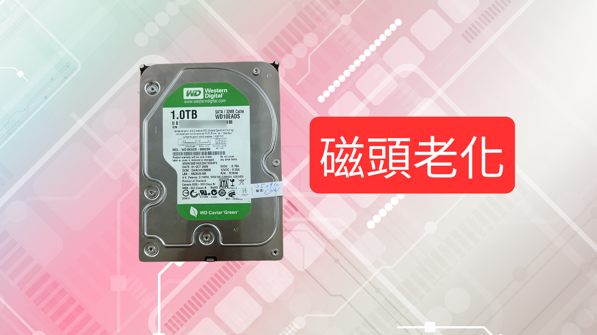 WD 1TB 綠標硬碟(WD10EADS)照片與記帳資料成功救援案例 - 外接硬碟